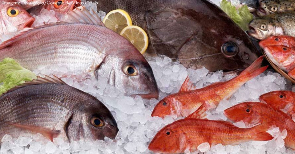 Imagem da notcia Confira dicas para comprar pescados com qualidade e segurana