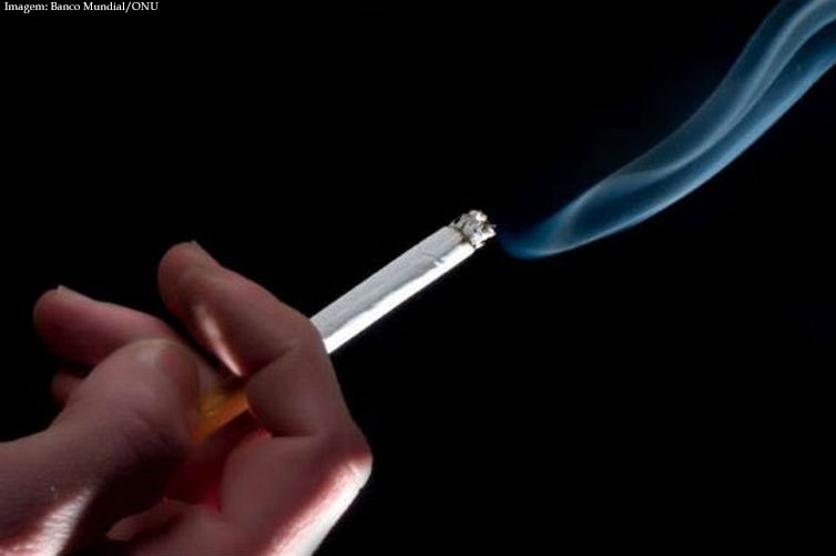 Imagem da notcia OMS alerta para impacto do cigarro na sade cardiovascular