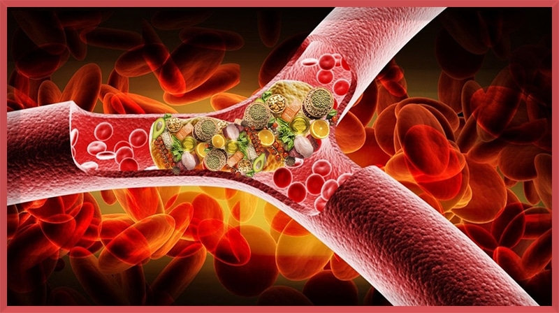 Além das estatinas: as ceramidas são o novo colesterol?