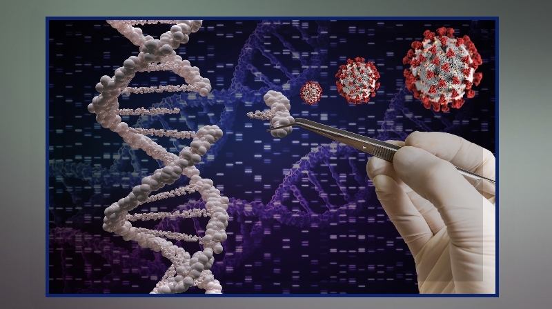 COVID-19: Cientistas identificam genes humanos que lutam contra infecções