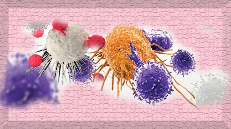 Células CAR T para pacientes com câncer de sangue