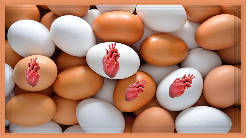 Como comer ovos pode melhorar a saúde do coração