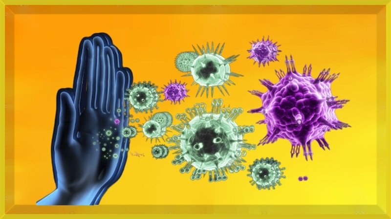 Como funciona o sistema imunológico