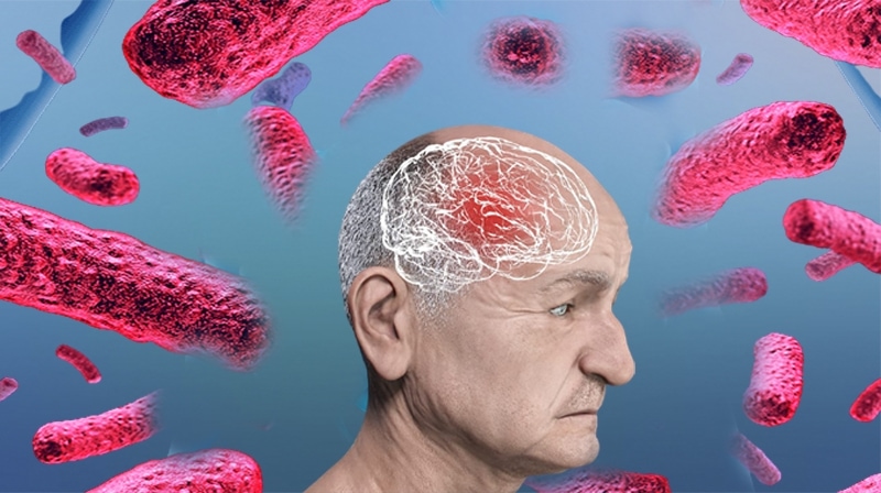 Demência: os probióticos podem melhorar a função cognitiva?