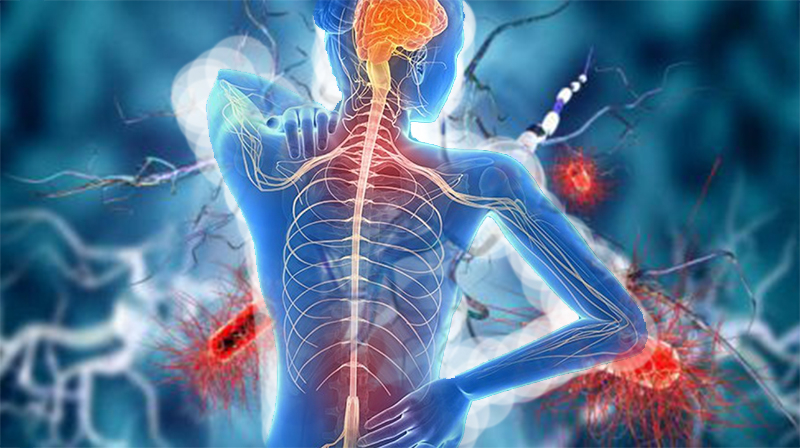 Esclerose múltipla: há novos tratamentos no horizonte?