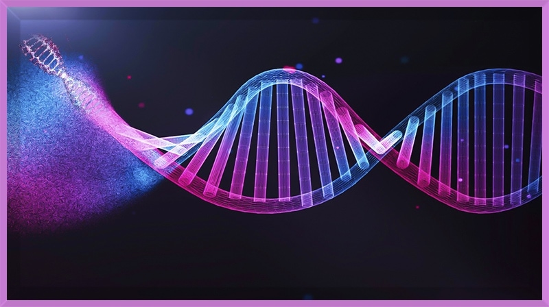 Estudo inovador revela dinâmica de 'licenciamento' de replicação de DNA