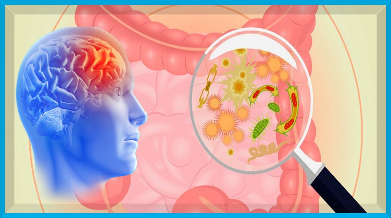 IBD pode perturbar a saúde mental ao quebrar a ligação intestino-cérebro