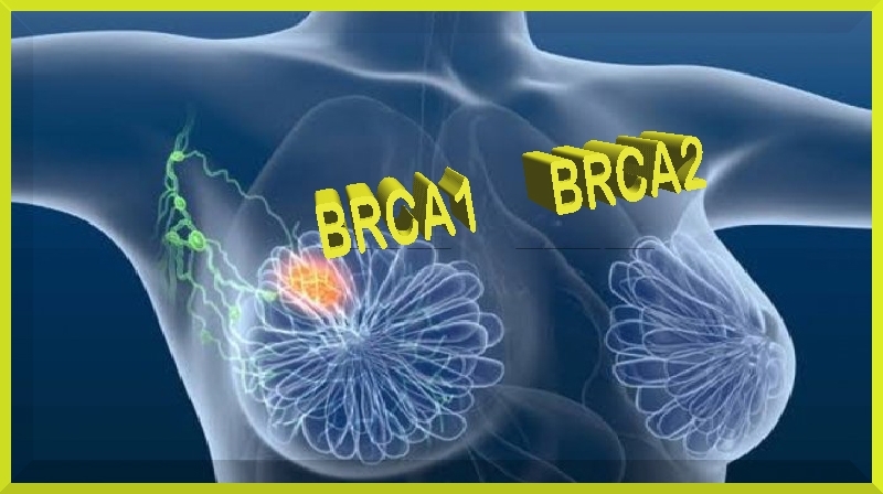 Novos medicamentos podem tratar cânceres com genes BRCA mutados