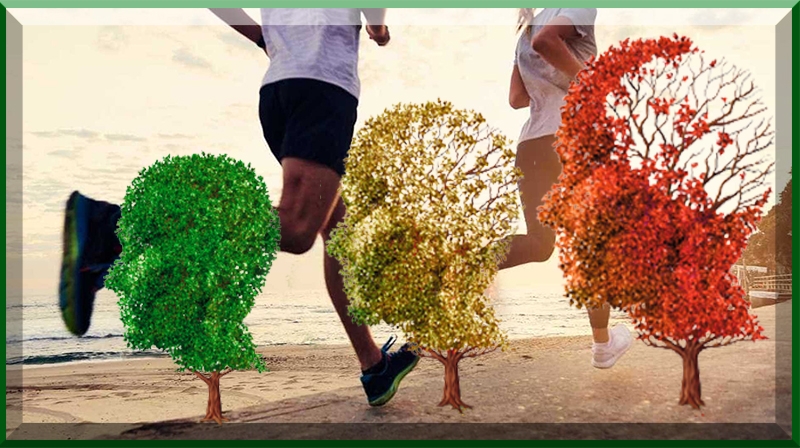 O exercício pode evitar o Alzheimer, regulando os níveis de ferro no cérebro