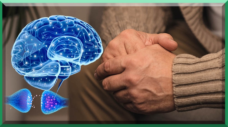 Pesquisa mostra resultados promissores para o tratamento do Parkinson