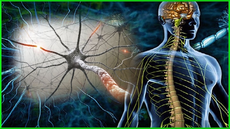Quais são os estágios da esclerose múltipla?