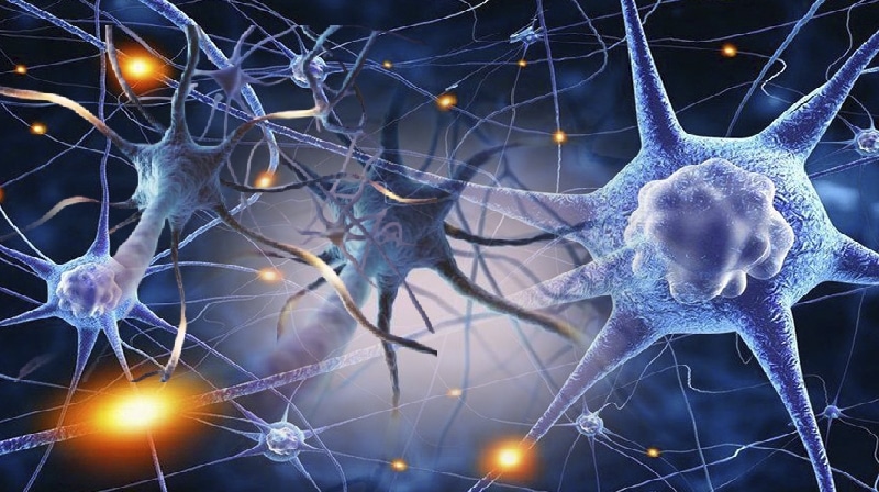 Superestruturas de moléculas podem ajudam a criar neurônios para a medicina regenerativas