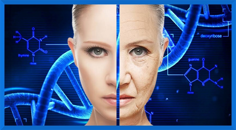 Tratamento genético deixa células da pele até 40 anos mais jovens