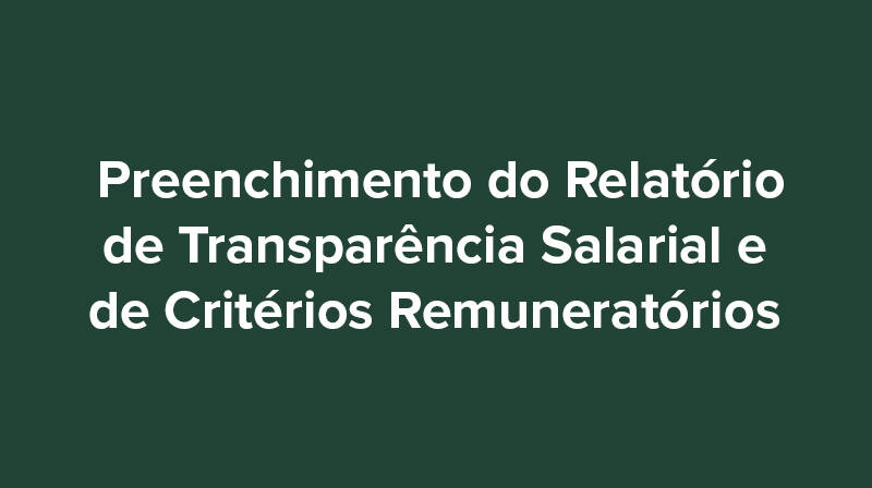 Preenchimento do Relatório de Transparência Salarial e de Critérios Remuneratórios